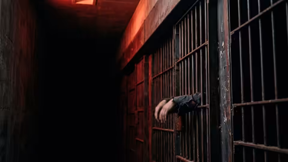 The Prison Industrial Complex: $80B Business