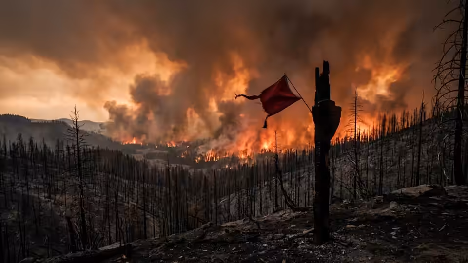 Bureaucrats Are Quietly Erasing Climate Data While You’re Distracted